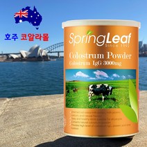 호주직구 스프링리프 초유 단백질 락토페린 파우더 분말 400g 호주코알라몰