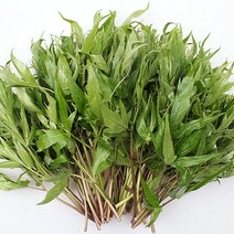 우리가락 [우리가락]당귀잎 250g, 1