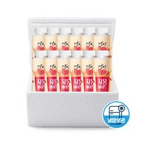 설빙 자몽에이드 1박스 250ml 12개입 아이스박스배송