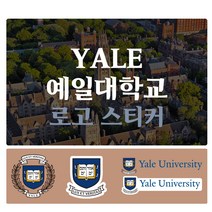 예일대학교 Yale University 로고 포인트 스티커 데칼 스킨, 2번(소형-일반)