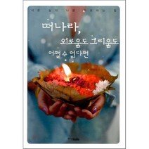 떠나라 외로움도 그리움도 어쩔 수 없다면 : 서른 살의 나를 위로하는 법, 이하람 저, 중앙북스(books)