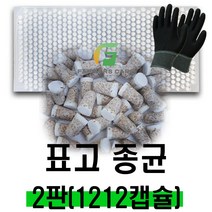 [파머스케어] 표고 버섯 종균 (2판 1212알) 캡슐형 종균버섯 표고 느타리 버섯 키우기, 표고버섯 캡슐종균 2판(1212알) + 장갑