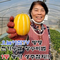 [TV오늘아침방영] 마미템 제철 달달 성주참외 가정용 못난이 3kg 5kg 소과 중과 혼합 고당도 꿀참외, 못난이 혼합 3kg