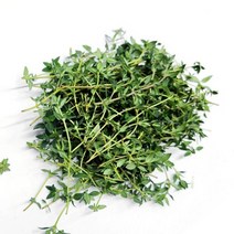 타임 허브 100g