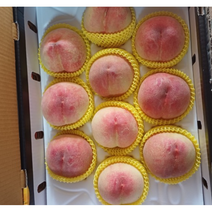 제철 복숭아 4kg 햇사레 감곡 미백 복숭아 양홍장 황도 백도 말랑이 딱딱이 물 복숭아 천중도 그레이트 물복, 14~15과