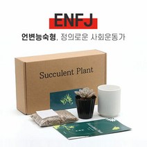 MBTI 다육이 키우기 키트 ENFJ, 다육이 선택:비취후리데