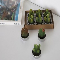 캔들공방 재료 워머 우드윅 석고 방향제 소이 테라리움 용기 미니, 13