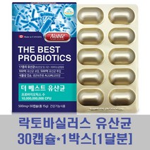 락토바실러스복합물 유산균 프로바이오틱스 프리바이오틱스 프락토올리고당 김치유산균 장건강 17종 500억 캐나다 비피더스균 먹이 식물성 캡슐 가족, 1박스