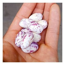 호랑이콩 강낭콩 1kg(껍질포함)