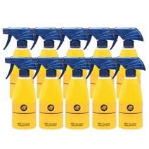 알앤비 피톤테라피 PPT 클리닉 솔루션 500ml 10개입, 없음, 1