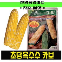 채소-카보초당옥수수 100립 황백종 흥농 팜한농 씨앗 종자