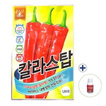 2023 칼라스탑 1200립 고추 종자 씨앗 + 뿌리활력250ml 농사친구 세트, 칼라스탑1200립+뿌리활력250ml