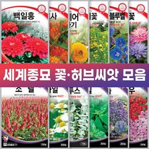 세계종묘 꽃 허브 씨앗 일년생 다년생 노지월동 야생화, 타라곤 2000립