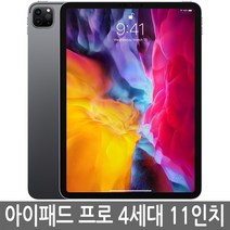 아이패드 프로 4세대(2세대) 11인치 128GB 256GB WiFi/셀룰러 기가 정품, 와이파이
