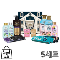 엘지 모던하우스생활 설선물세트, 5개