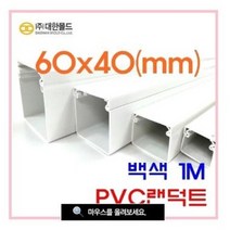 대한몰드 PVC 랜덕트 랜닥트 전선정리 선정리 몰드 쫄대 60 X 40