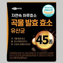곡물 발효 효소 유산균 웰핏 45종 자연속 하루 효소 분말 프로바이오틱스, 90g, 1개