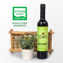 달맞이 효소 발효액 유기농 이의영 산야초 효소 500ml