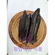 가락시장 직송 토종가지 특품 5kg1박스