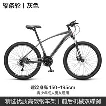 자전거 Flying Pigeon Bicycle 공식 플래그십 성인 남성, 26인치, 스포크 휠 - 그레이, 24단