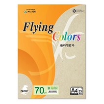 YFU939934플라잉칼라 Pk02 얼스팩 A4 70g 복사용지 25매입 10개