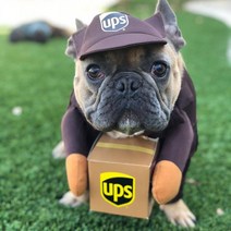 강아지처키옷 강아지택배옷 반려견 할로윈 의상 UPS 택배기사, UPS브라운, S