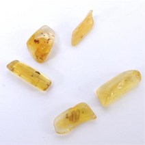 지구과학 교육용 호박 소나무 송진 화석 5개 과학실험도구 암석