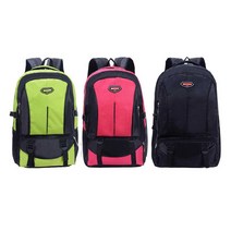 짐가방 백팩 여행 남녀 공용 해외 아웃 트래킹 도어 _56234EA, 그린