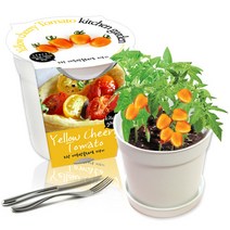 세경팜 컬러키친가든 식물키우기 텃밭세트, 노랑대추방울토마토