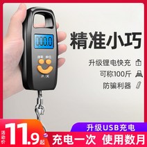 휴대용 저울 산업용 공사장 전자 규모 여행 낚시 소 충전식 미니어처 후크 작은 무게 가정