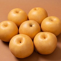 농부들의수확 [농부들의수확]나주 산지직송 나주배 15kg 가정용 21-25과, 1개