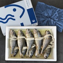 영광 법성포 보리굴비 10미 부세 조기 추석 설 명절 선물세트, 10미 대사이즈 (두릅), 선택안함