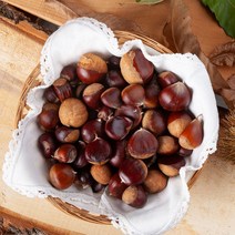 고씨네 특급 햇밤 군밤 맛밤 2KG 공주햇밤 밤 밤효능, 특급 햇밤 2kg