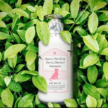 반려견 아토피 샴푸 올인원 순한성분 피부염 습진 가려움완화 클렌저 300ml