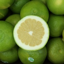 메로골드 미국 청자몽 32과사이즈 (대과 500g내외), 10입, 대과500g내외