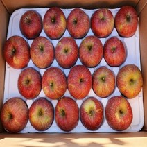 상주사과 백화산사과 5kg 12-13과 내외 문장대사과 성주봉사과, 상세페이지 참조, 상세페이지 참조