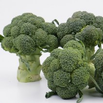 브로콜리 1kg 팔팔마켓 국내산 생 제주 브로컬리 판매