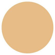 캔메이크 컨실러 컬러 스틱 모이스 트러스트 커버 6종, -개, 옐로우 골드