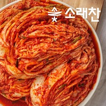 광명시장배추김치맛집 추천 TOP 6