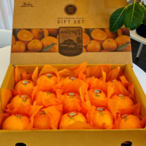 제주 명품 레드향 당도14brix이상!, 10kg(소과60과~86과)