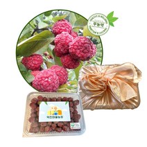 선물 세트 고급 햇 꾸지뽕 열매 2kg 냉동 무농약 친환경 구찌뽕 구지뽕 포장 덕진마을농장, 1개