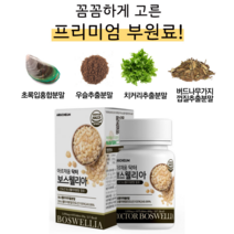 아르채움 보스웰리아1000 60정 보스웰리아 인도산 결정셀룰로오스 우슬추출분말 초록입홍합분말 히알루론산혼합분말 엽산 산화아연 비타민 푸마르산제일철, 2개
