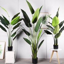 여인초 극락조 대형 조화 실내 인테리어 인조 나무, 여인초 120cm 조화