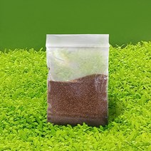 씨앗수초 하이그로필라 8g (지퍼백포장), 단품