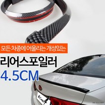 에어댐 글라스윙 리어스포일러 - 카본블랙_4.5CM / 루프스포일러