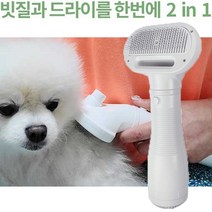 캔즈 반려동물 드라이기 빗질+드라이 럽마이펫 강아지 드라이기 고양이 털말리기