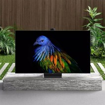 Xiaomi 6 75 인치 익스트림 에디션 4kqled HD 해외 샤오미 공식 TV, 총 색깔, 공식 표준
