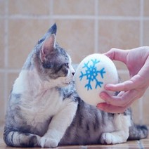 고양이 강아지 장난감공 양모볼, 양치기소년