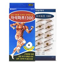 대일제약 자석파프1300(30매입)x1갑, 1