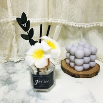 플루메리아 차량디퓨저 50ml 자동차방향제 차량방향제, 블랙베리앤베이